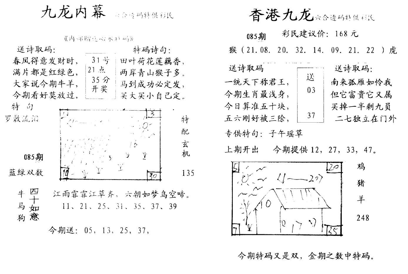 九龙内幕--开奖报-85