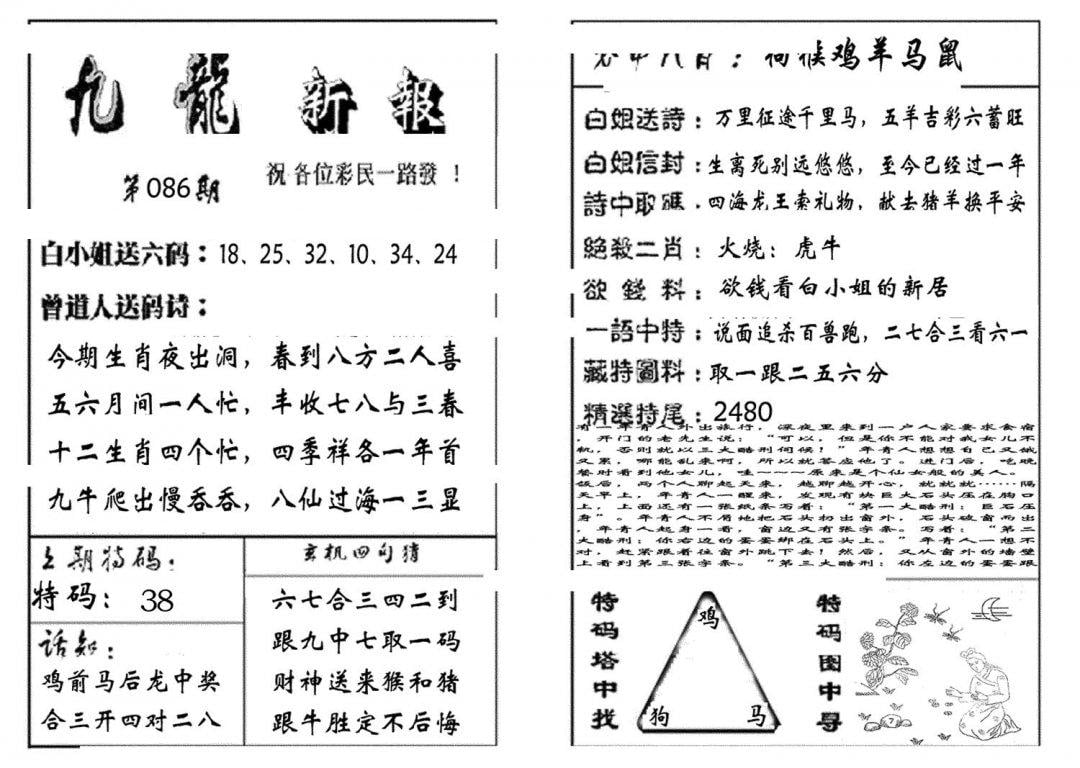 九龙新报(生肖版)-86