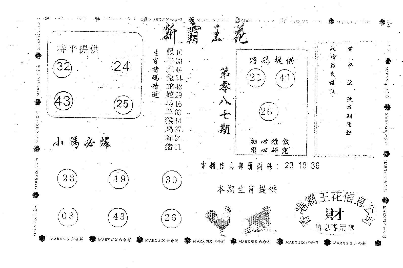 新霸王花-87