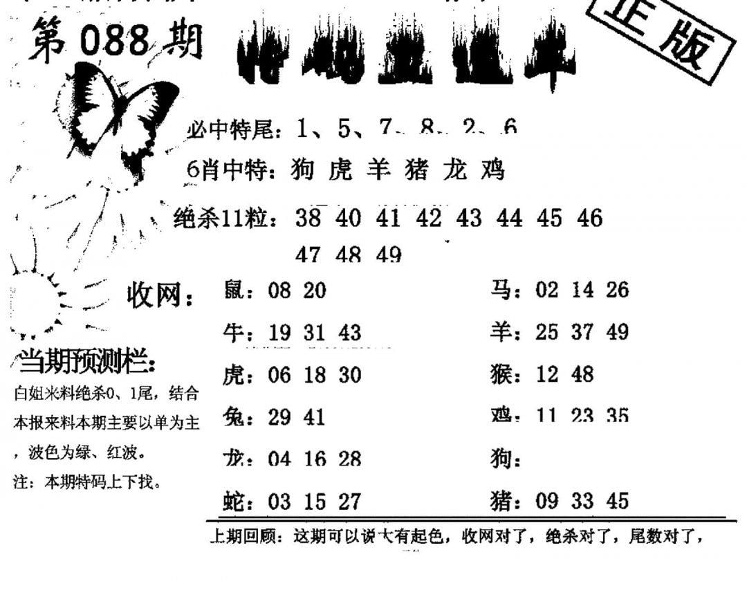 特码直通车-88