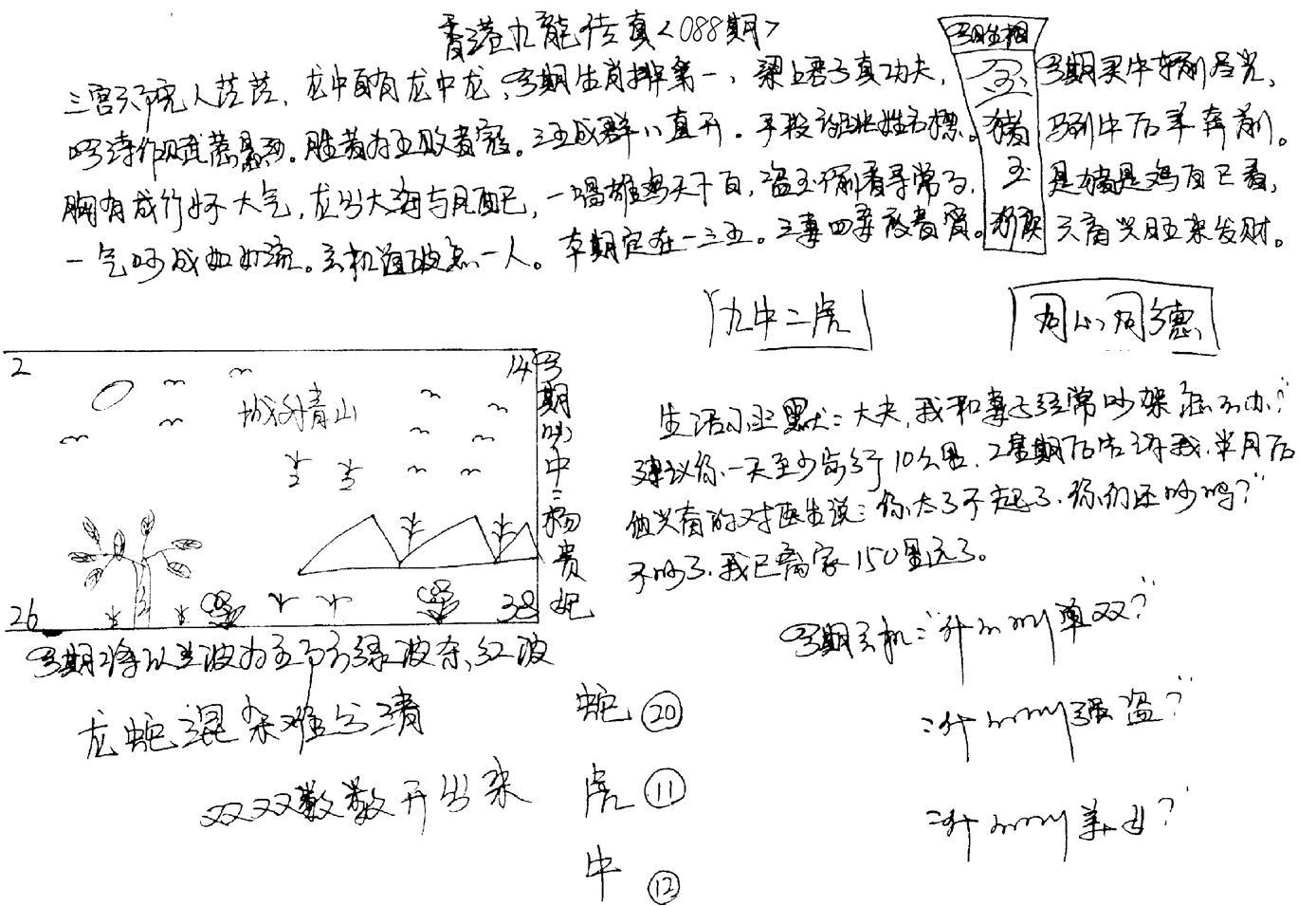 正版手写九龙-88