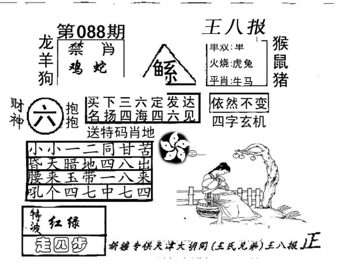 王八报-88