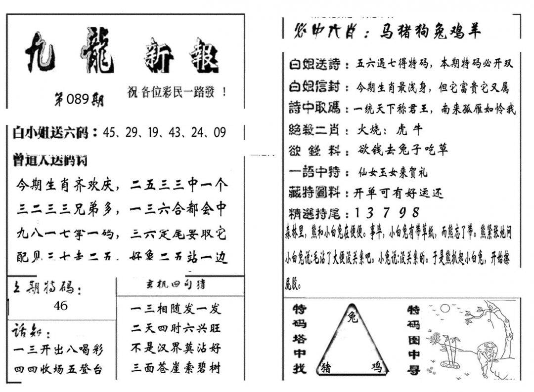 九龙新报(生肖版)-89