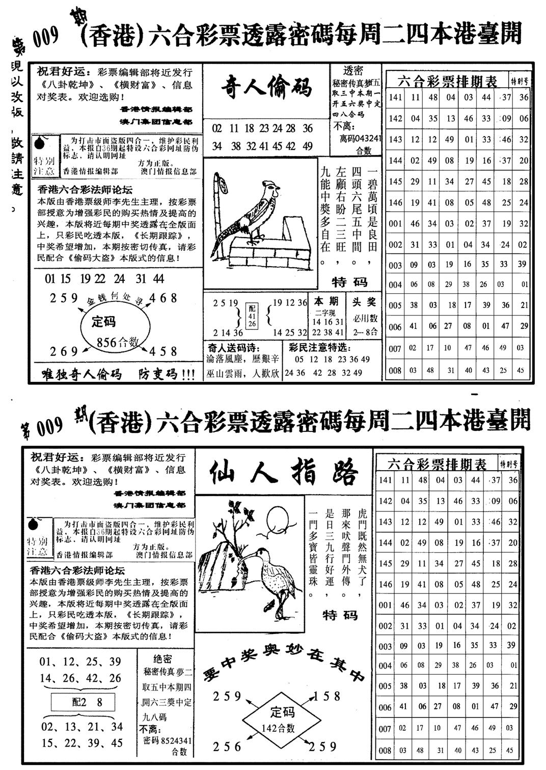 龙仔四合二-9