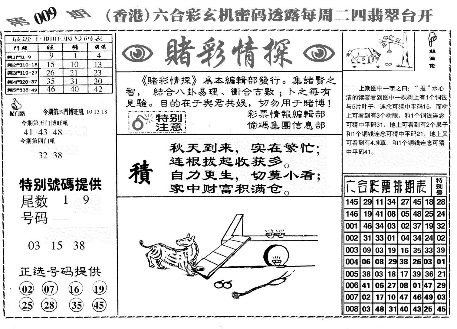 堵彩情探-9