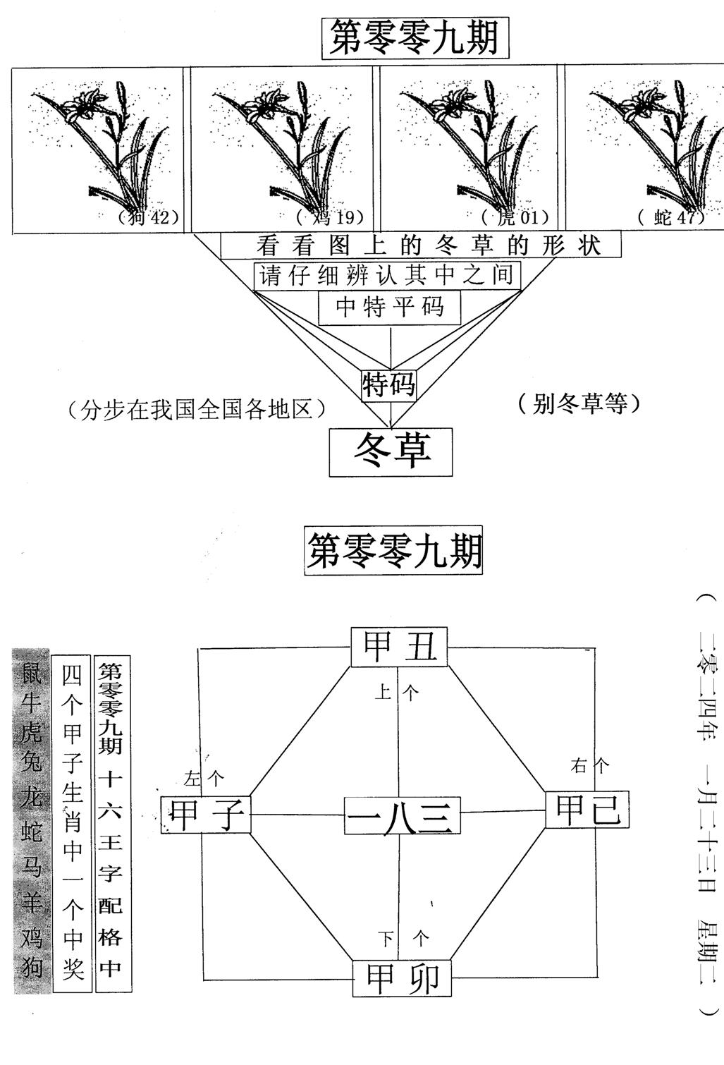 每期一花草-9