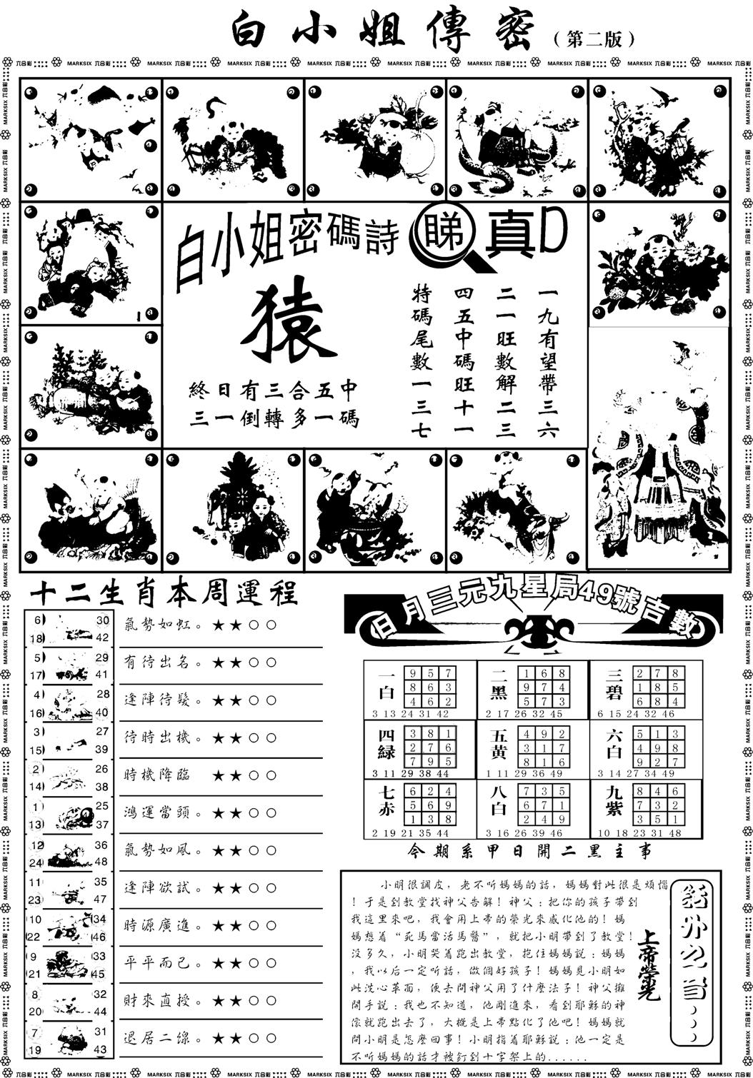 白姐加大B-9