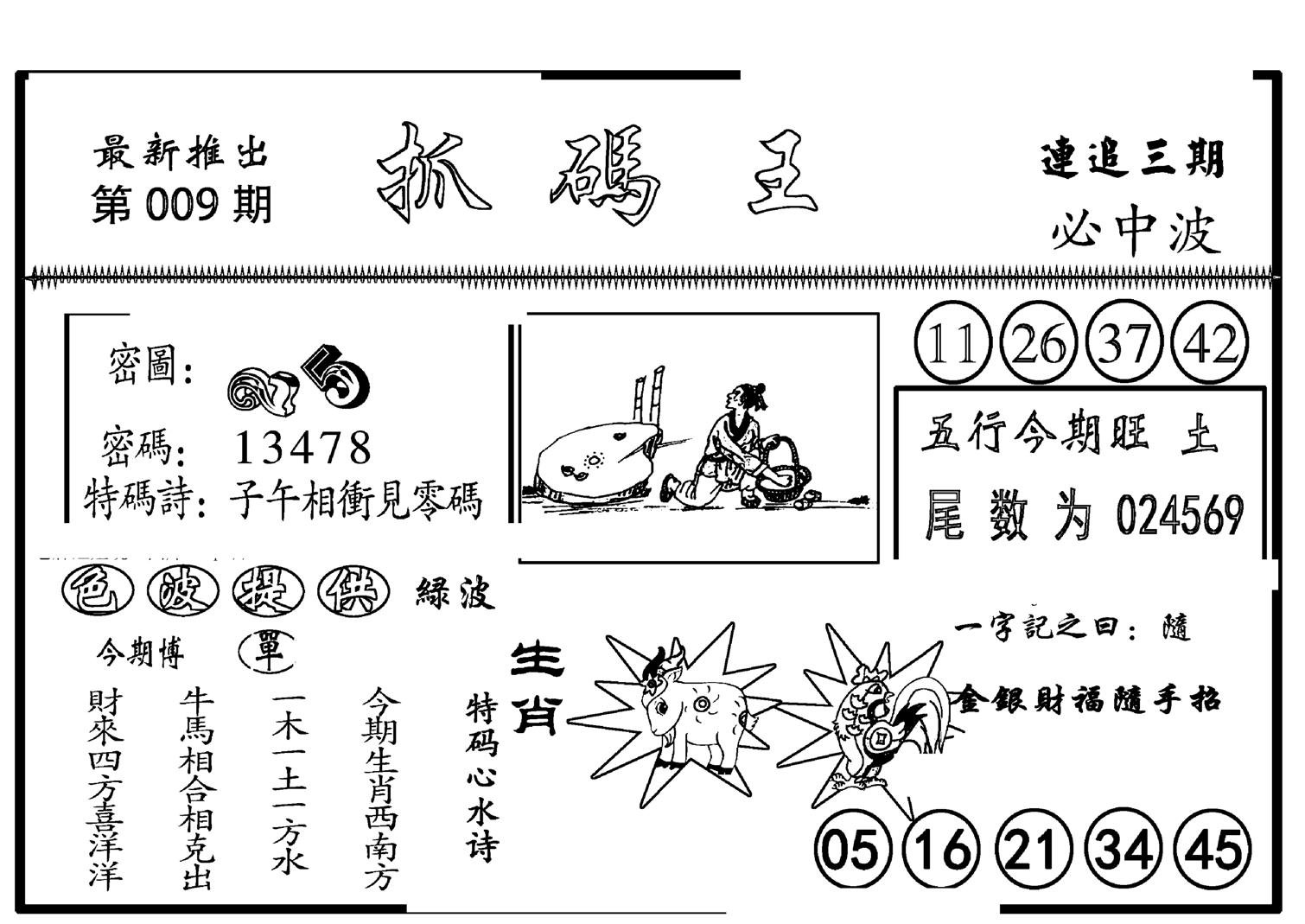 抓码王-9