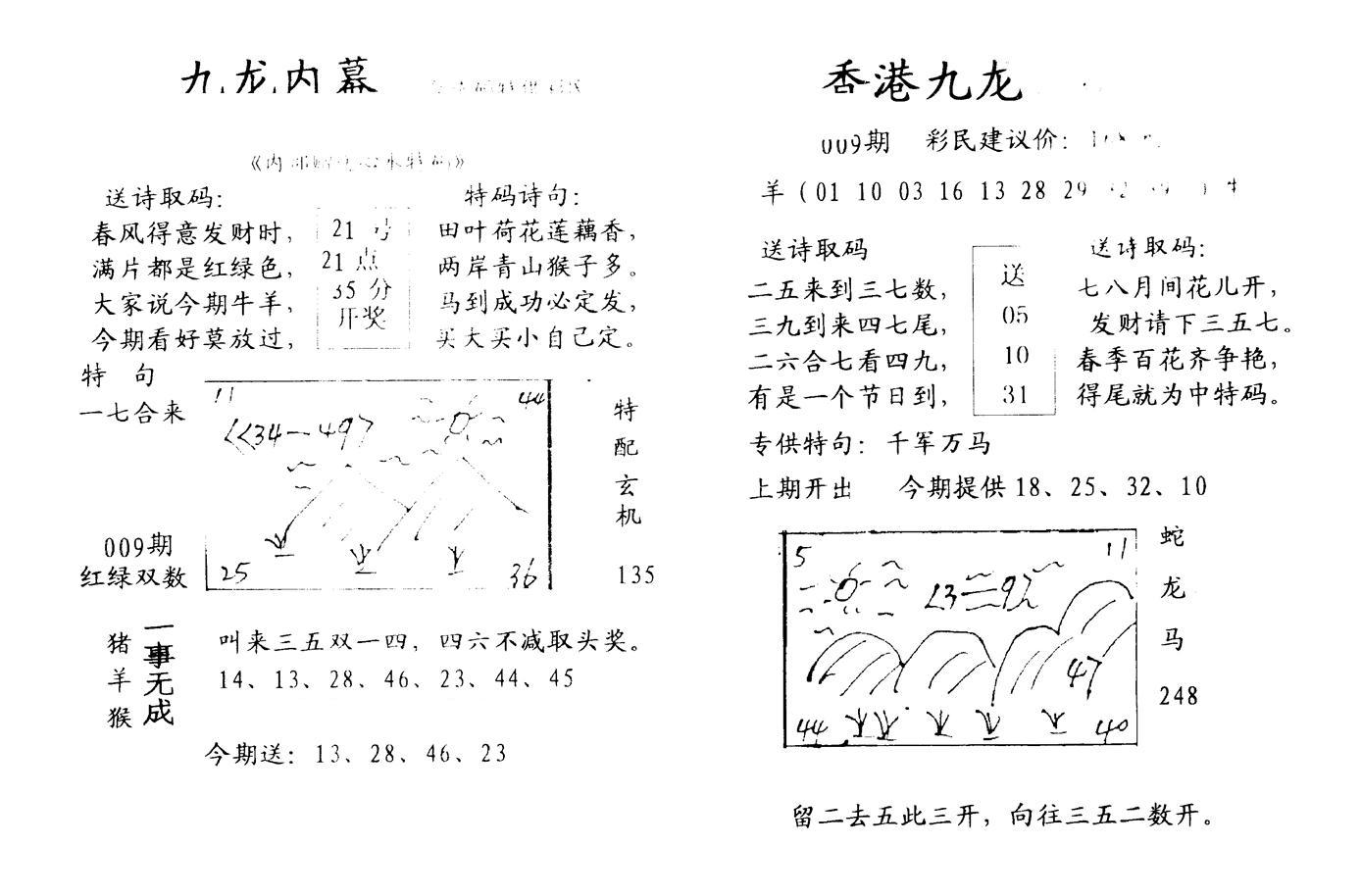 九龙内幕--开奖报-9