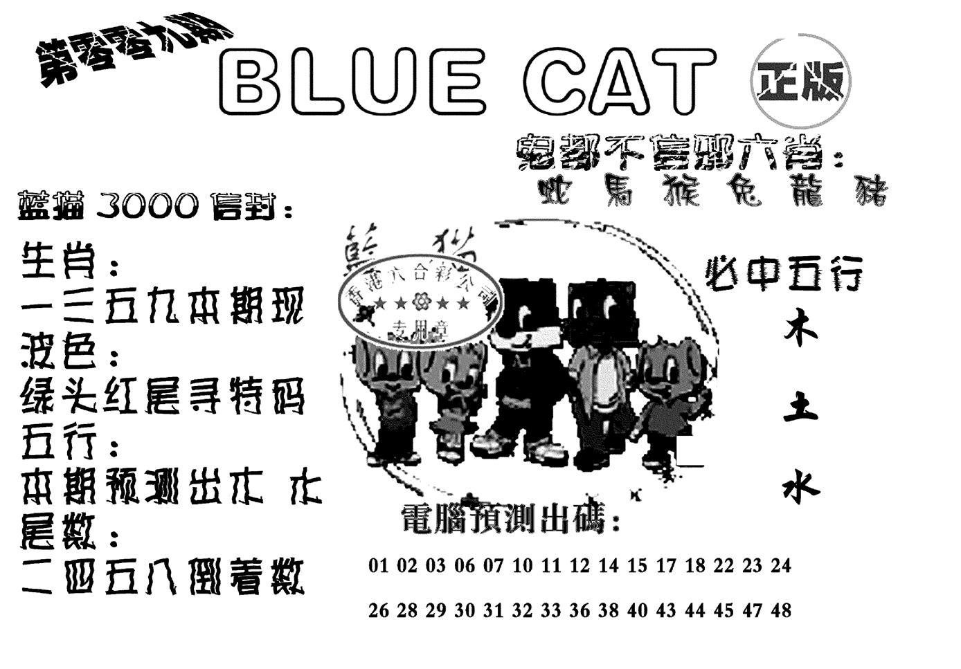 蓝猫Blue Cat-9