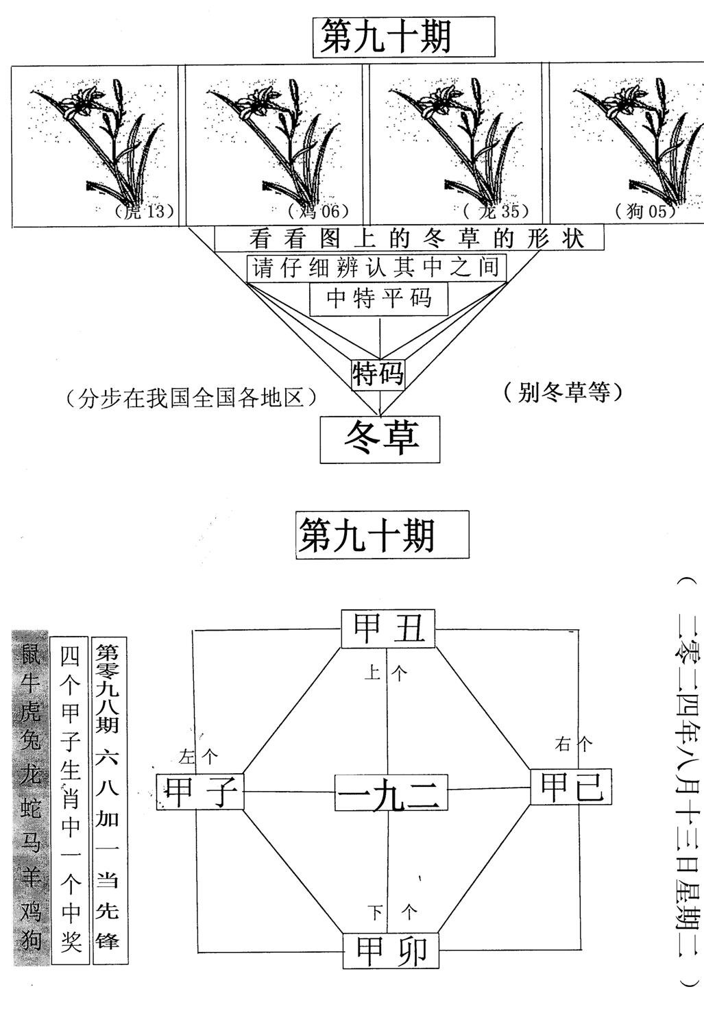 每期一花草-90