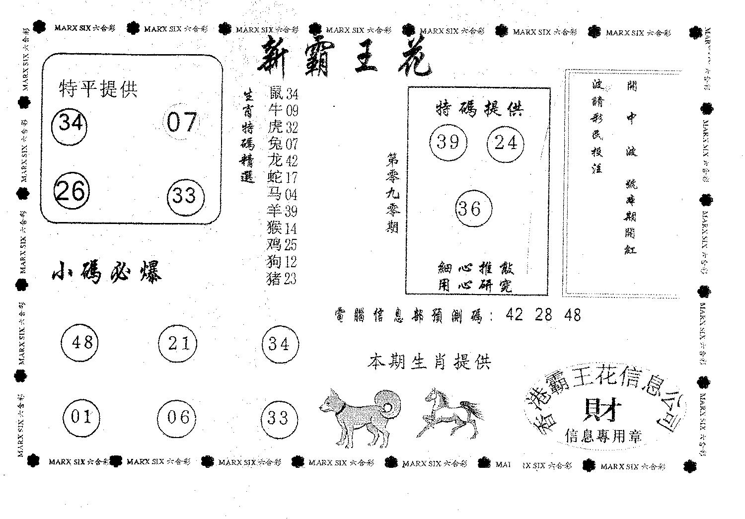 新霸王花-90