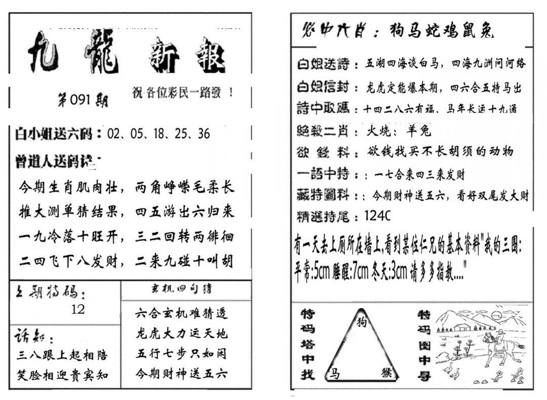 九龙新报(生肖版)-91