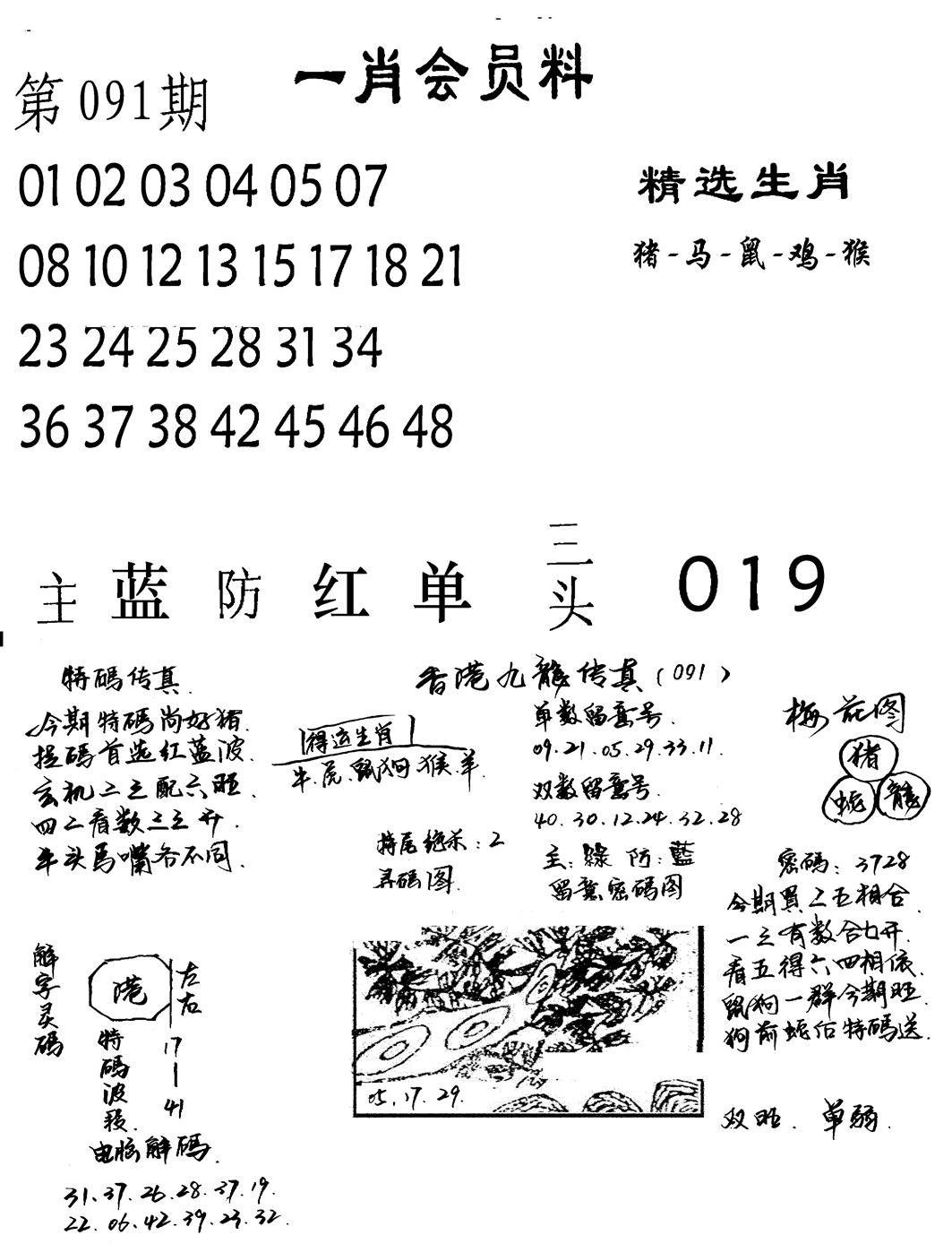 一肖会员料-91