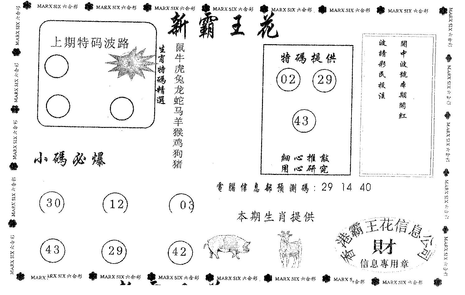 新霸王花-92