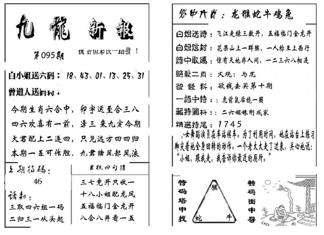 九龙新报(生肖版)-95