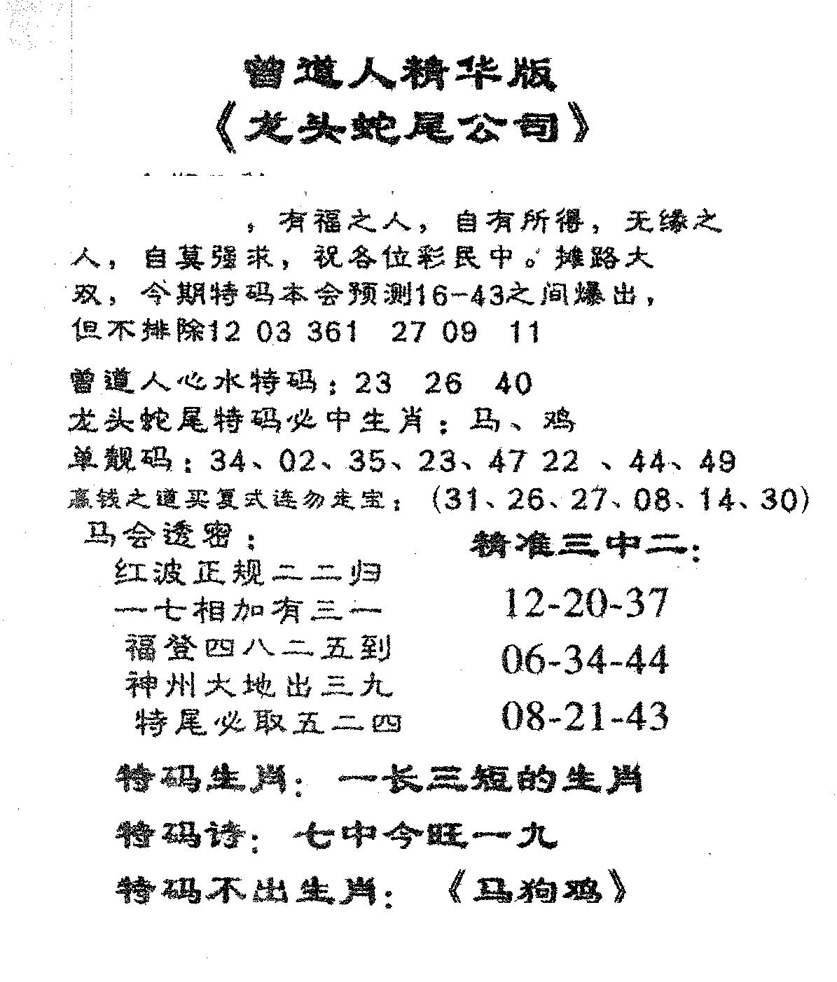 龙蛇精华-95