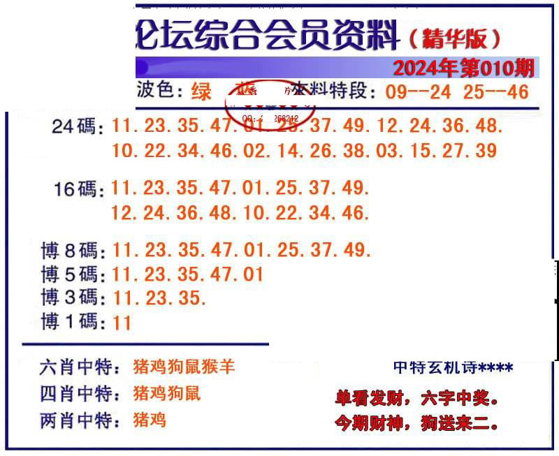 综合会员资料-10