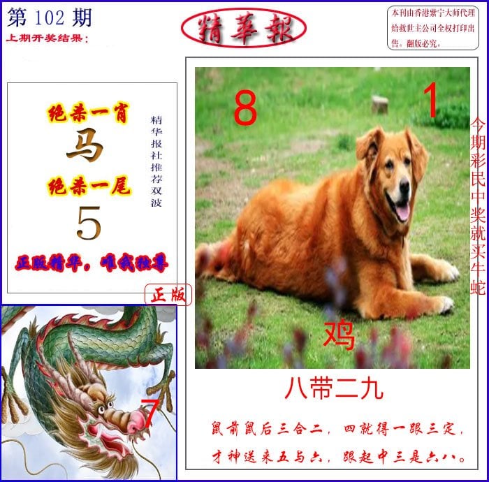 新精华报报-102