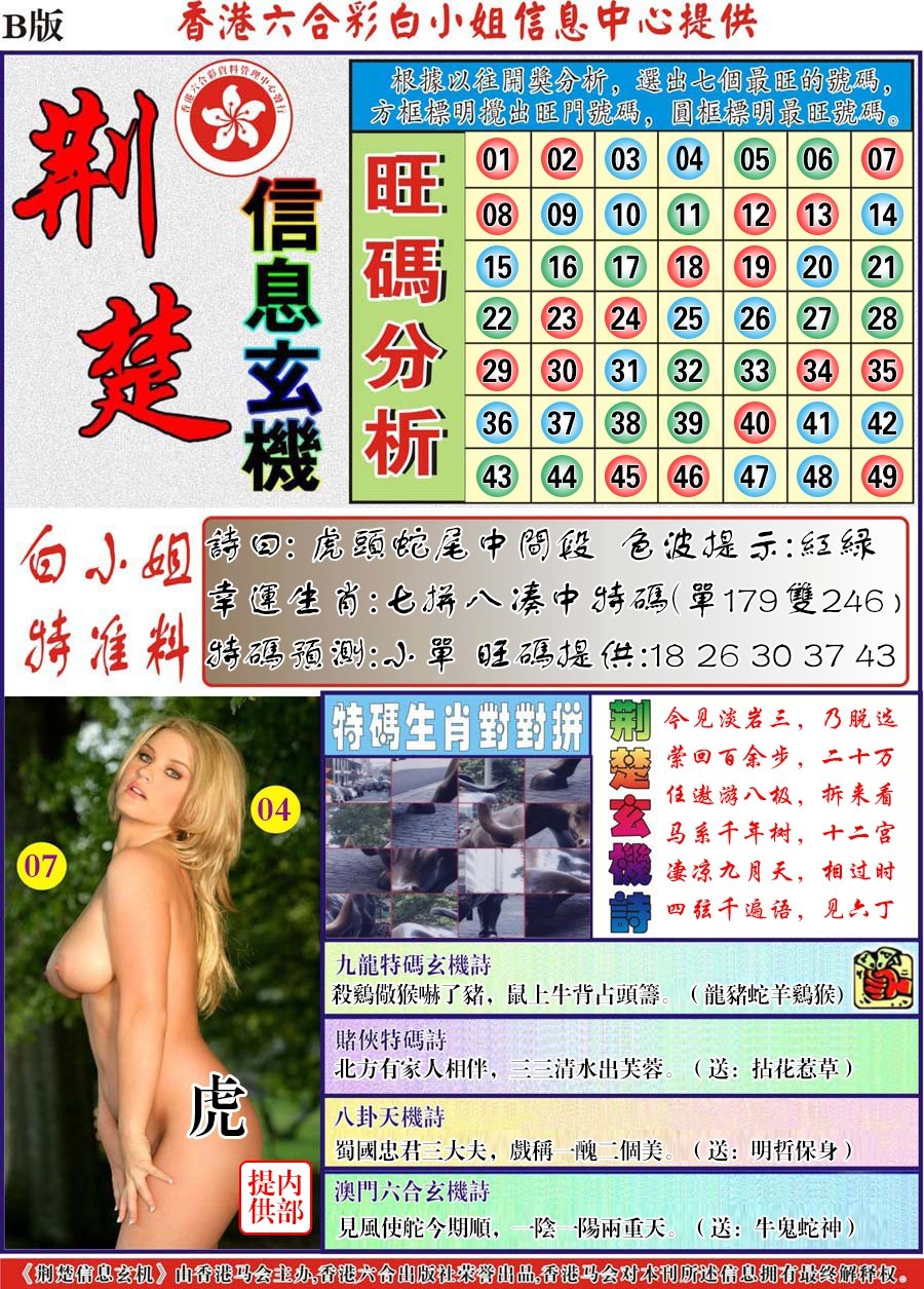 荆楚信息玄机B-109