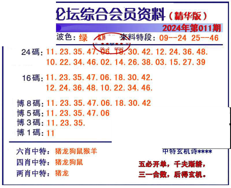 综合会员资料-11