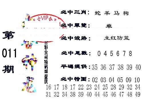 六合神龙-11