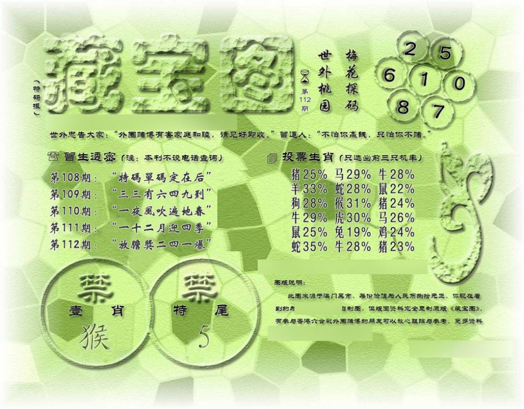 假老藏宝图-112