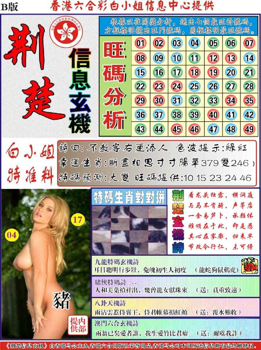 荆楚信息玄机B-113