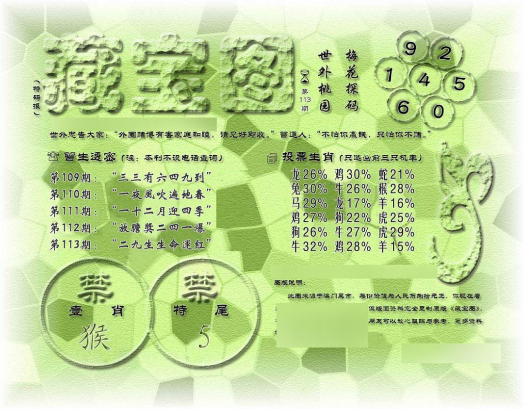 假老藏宝图-113