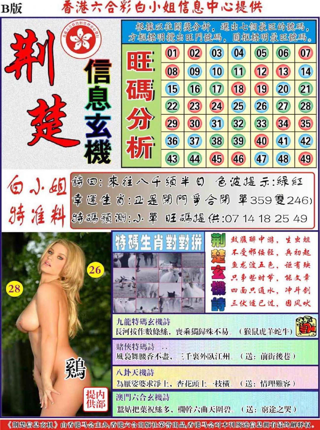 荆楚信息玄机B-119