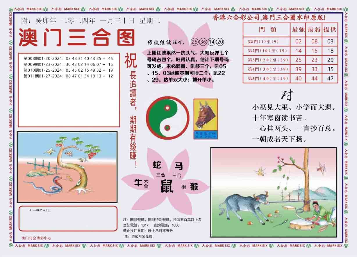 4-澳门三合-12