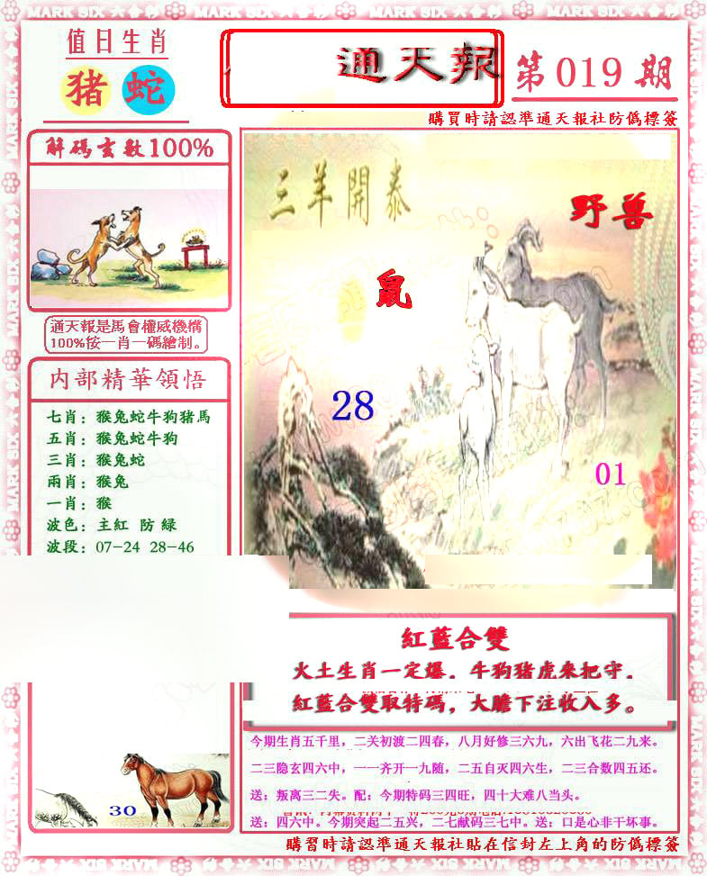 南方农村报-彩票与漫画版-19