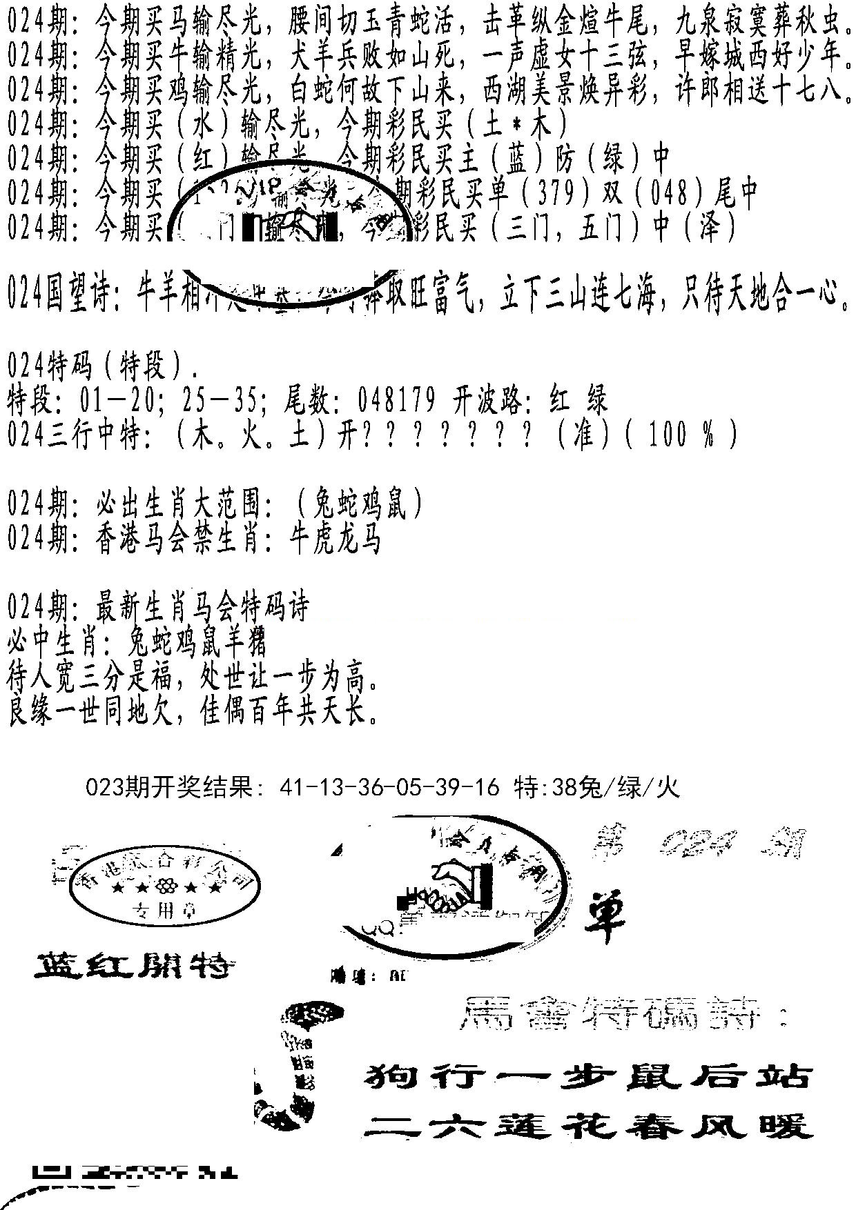 蛇报B-24