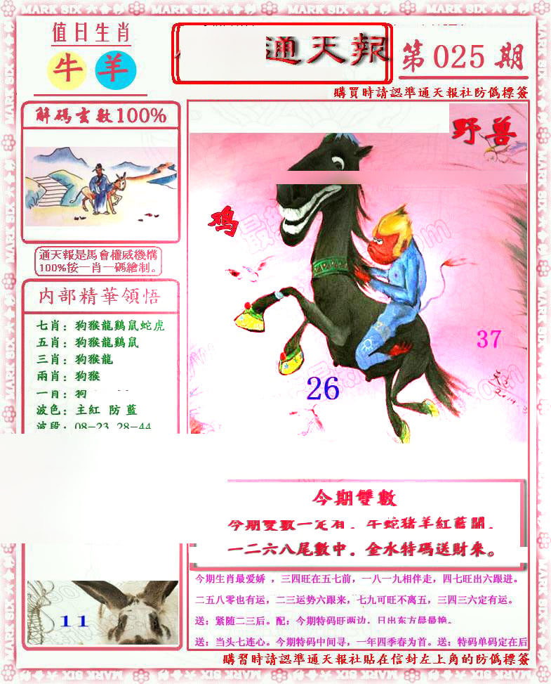 南方农村报-彩票与漫画版-25