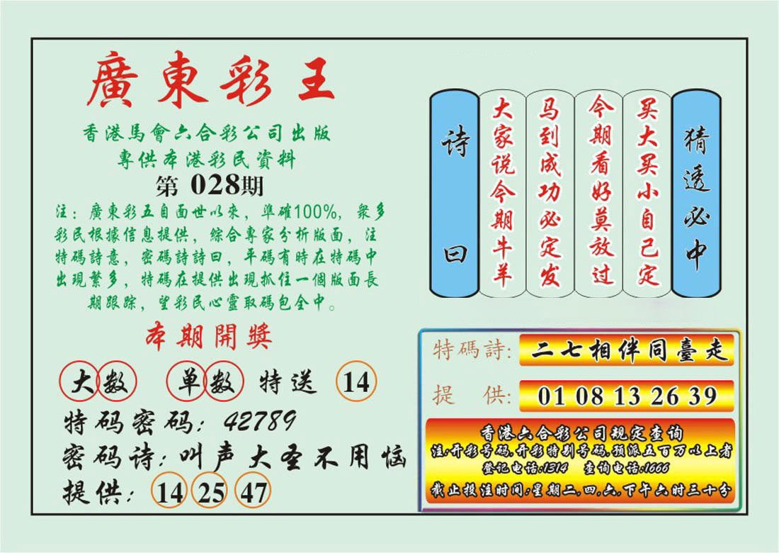 广东彩王-28