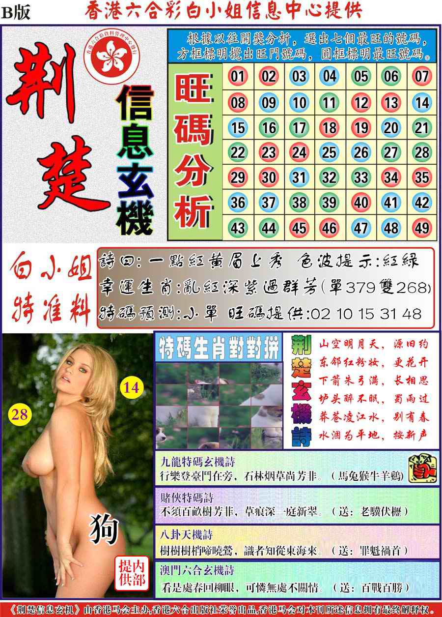 荆楚信息玄机B-30