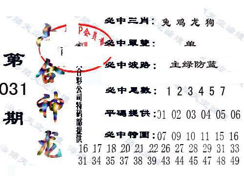 六合神龙-31