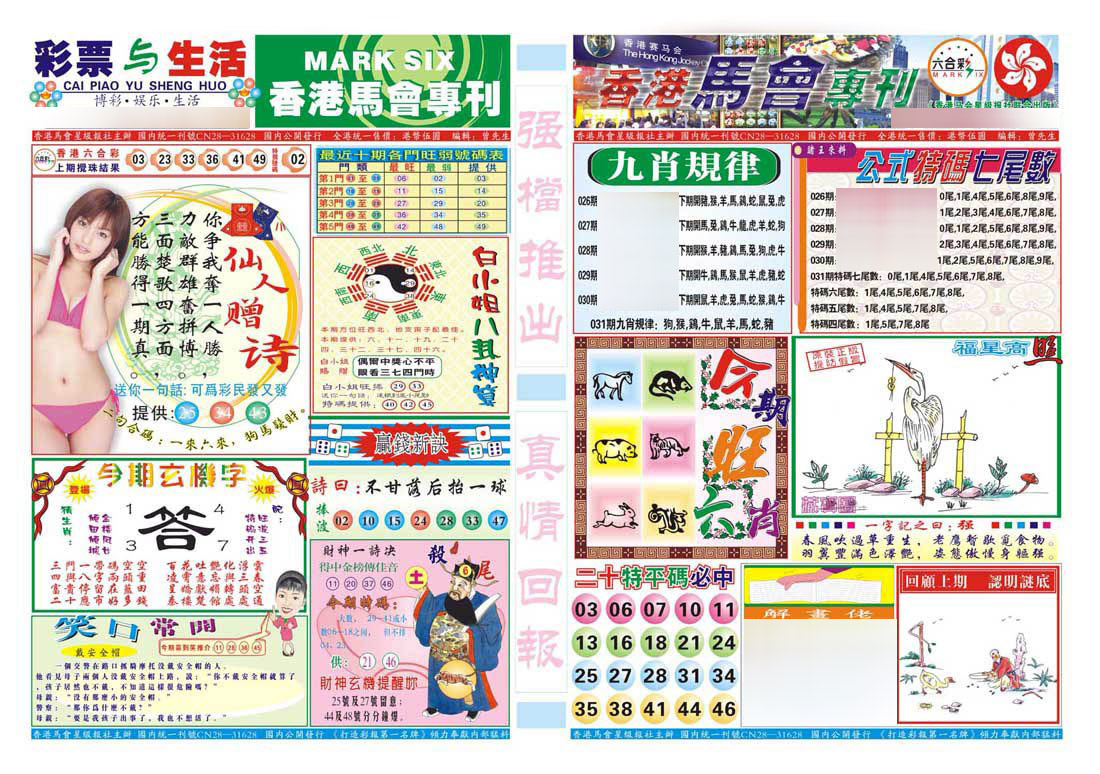 香港马会专刊A-31