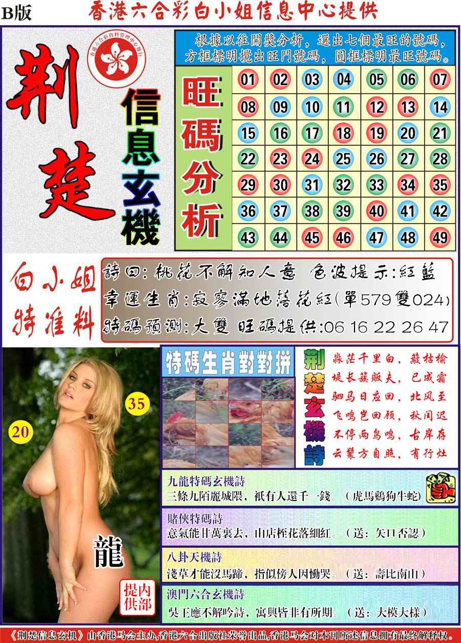 荆楚信息玄机B-33