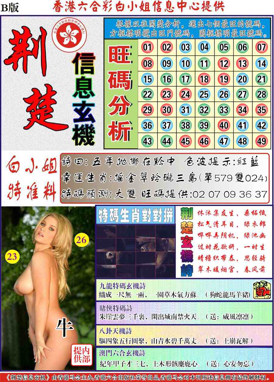 荆楚信息玄机B-36