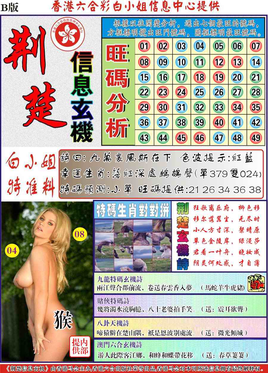 荆楚信息玄机B-38