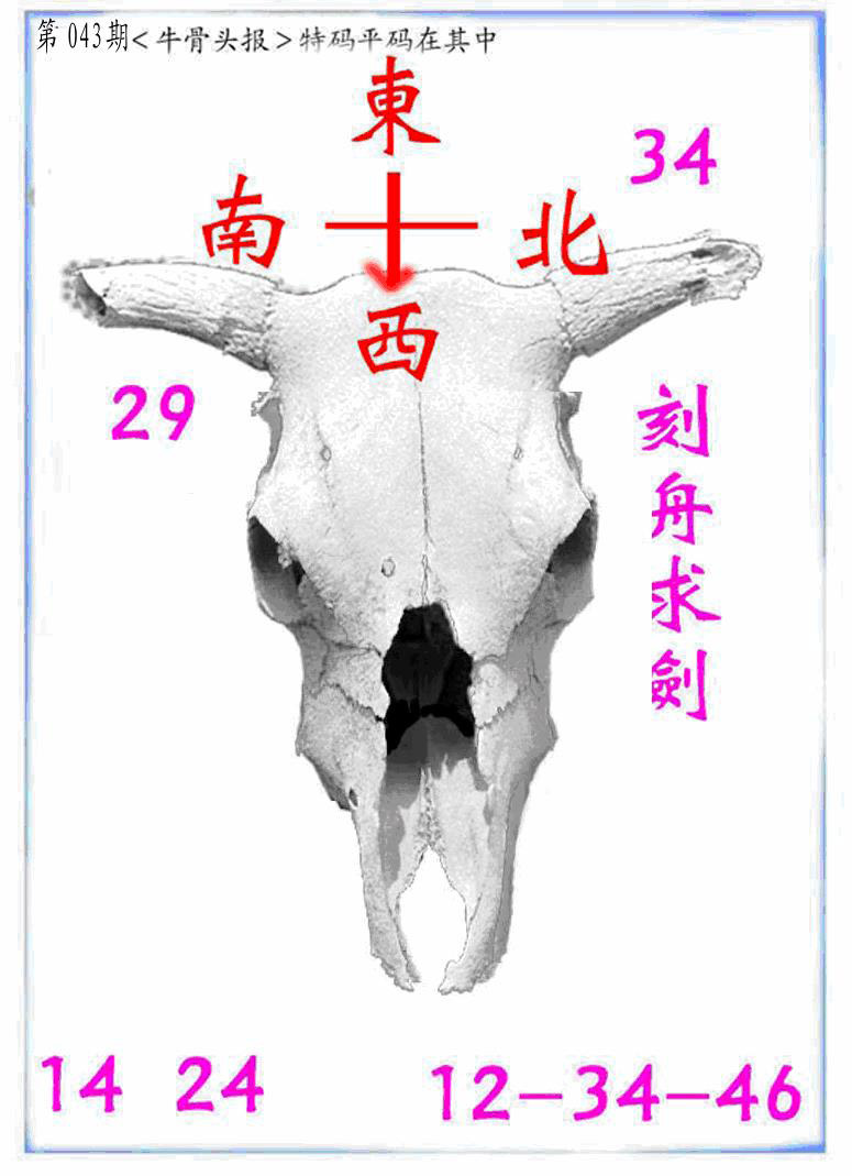 牛派牛头报-43