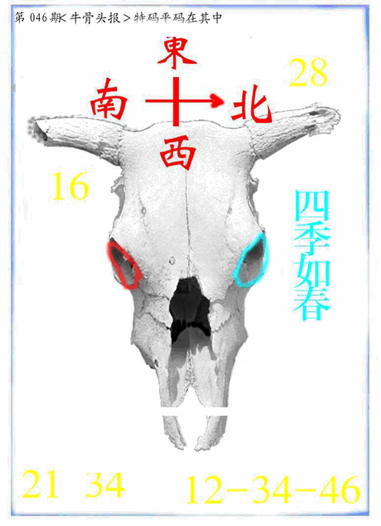 牛派牛头报-46