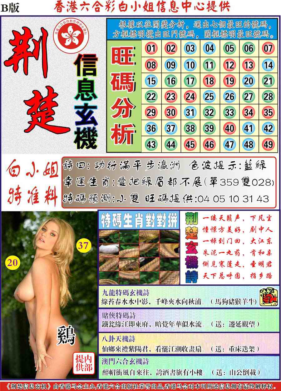 荆楚信息玄机B-64