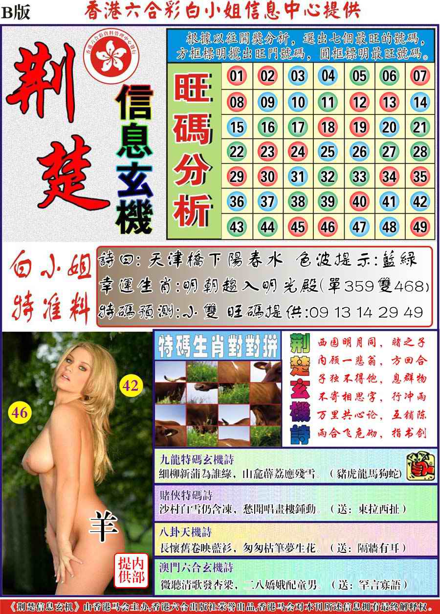 荆楚信息玄机B-65