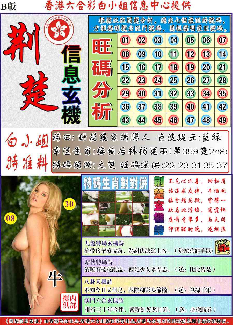 荆楚信息玄机B-67