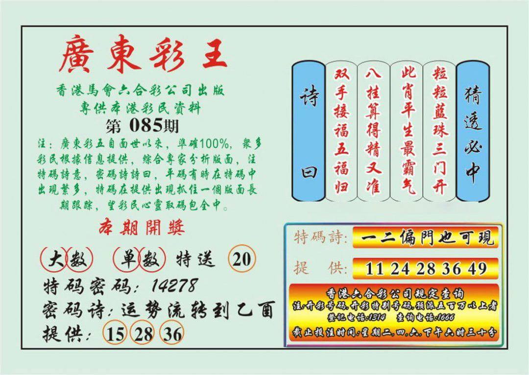 广东彩王-85