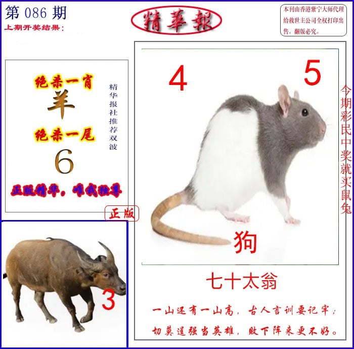 新精华报报-86