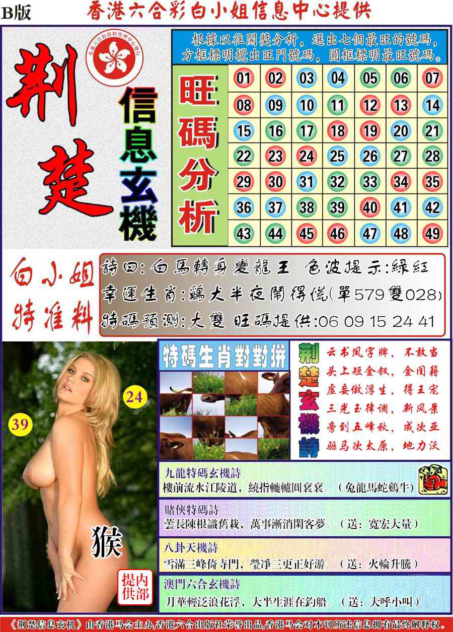 荆楚信息玄机B-89