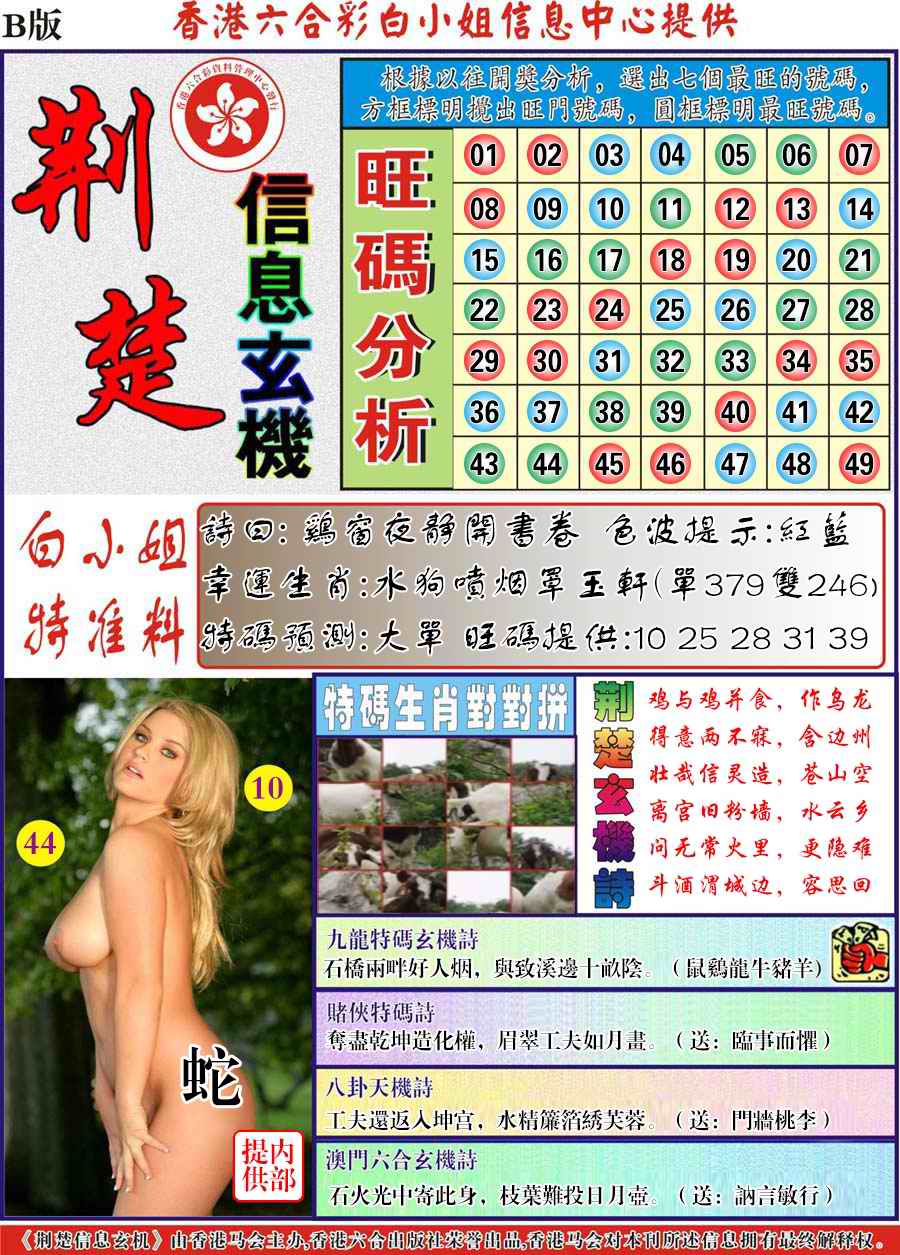 荆楚信息玄机B-93